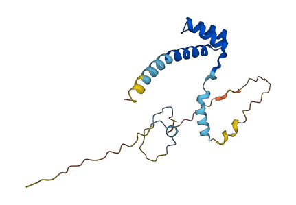 HESX1 3D structure