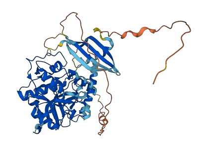 CTSF 3D structure