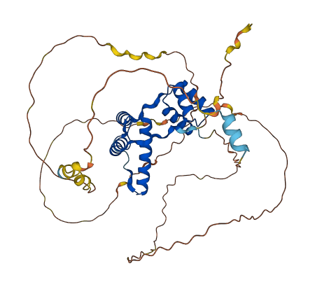 DUX4 3D structure