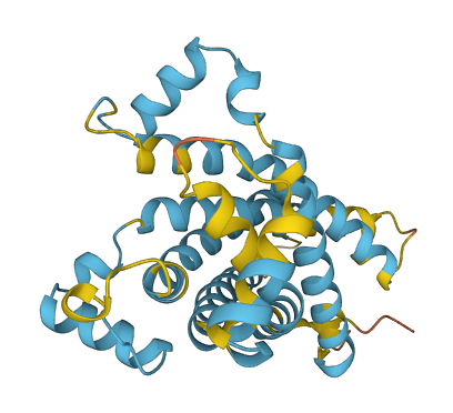 SLC25A10 3D structure