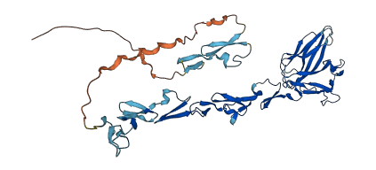 FBLN5 3D structure
