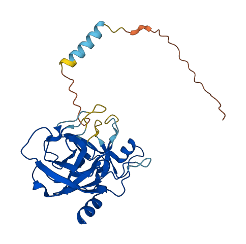 KLK11 3D structure