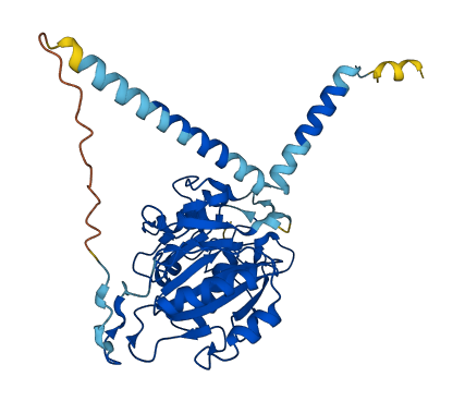 B4GALT6 3D structure