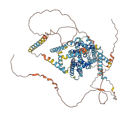 SLC9A2 3D structure