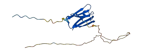 HSPB7 3D structure