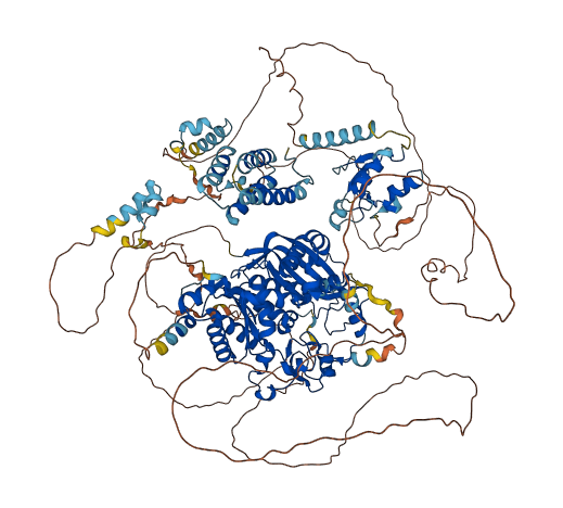 REV1 3D structure