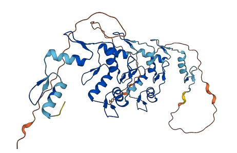 ZNF70 3D structure