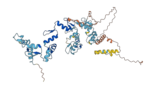 ZNF69 3D structure