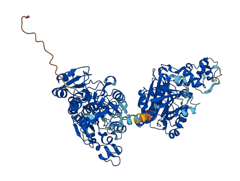 AASS 3D structure