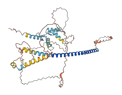 ZNF212 3D structure