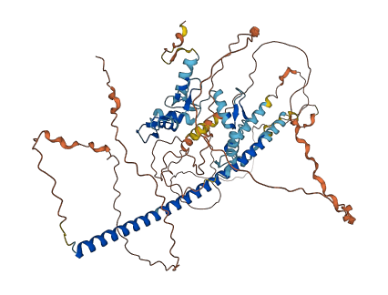 ZNF282 3D structure