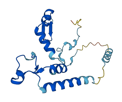 ZMAT5 3D structure