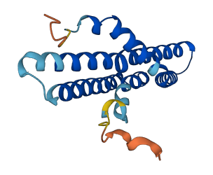 MTFP1 3D structure