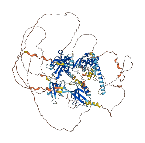 TJP2 3D structure