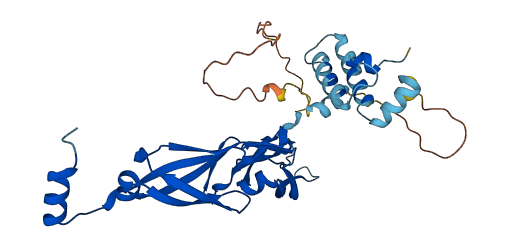 DNAJB4 3D structure