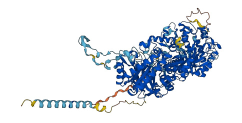 KL 3D structure