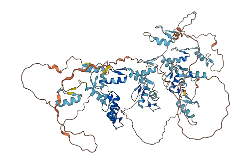ZNF629 3D structure