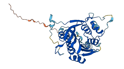 FTSJ1 3D structure