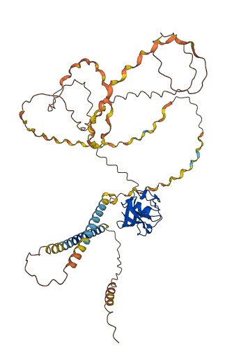 MARCO 3D structure