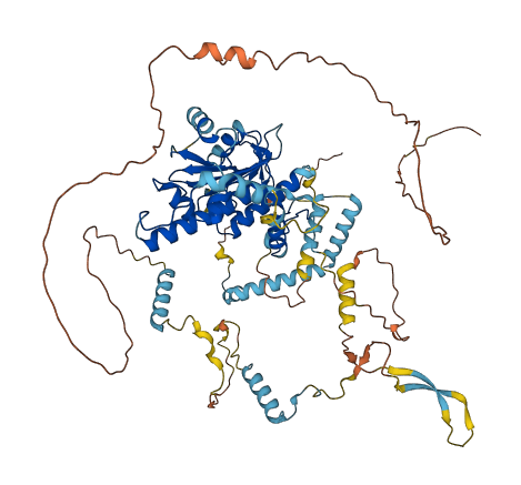 ADD3 3D structure