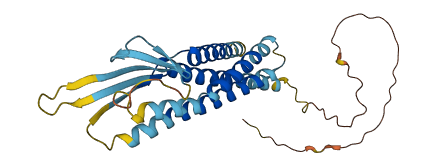 CACNG5 3D structure