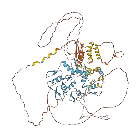 ZBTB47 3D structure