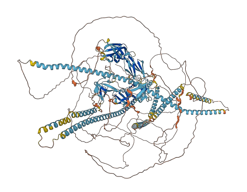 RIMBP3 3D structure