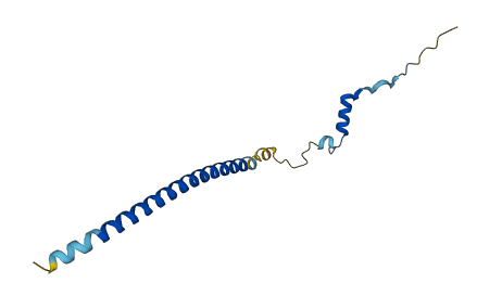 C19orf25 3D structure