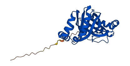 NIPSNAP3A 3D structure