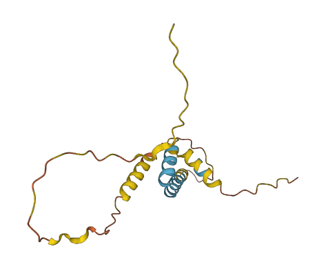 TBC1D29P 3D structure