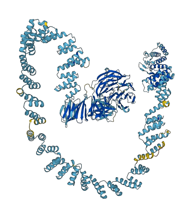 IFT172 3D structure