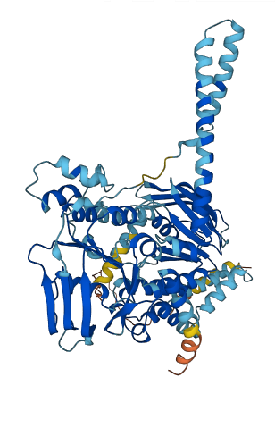 ABCF2 3D structure