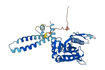 MTRF1L 3D structure