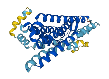 OR14J1 3D structure