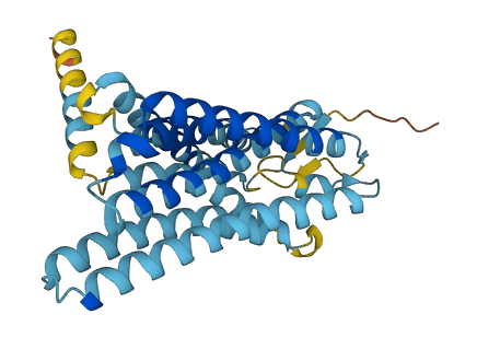 OR12D3 3D structure