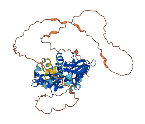 PRKAG3 3D structure