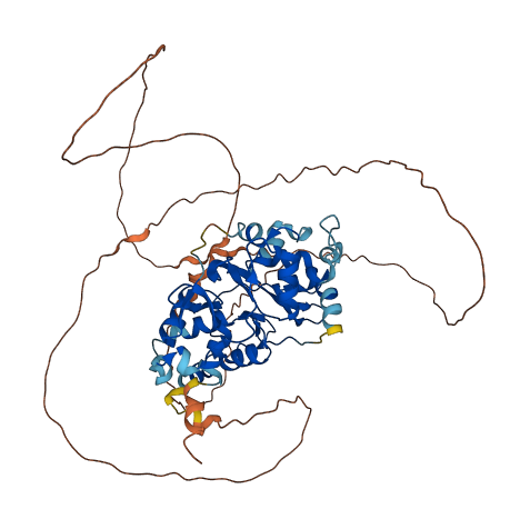 PRKAG2 3D structure