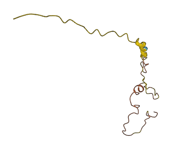 CRCT1 3D structure
