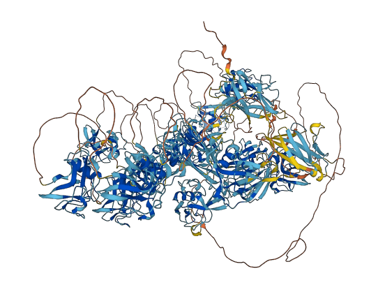 DMBT1 3D structure