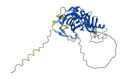 FETUB 3D structure