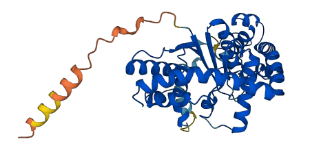 WARS2 3D structure