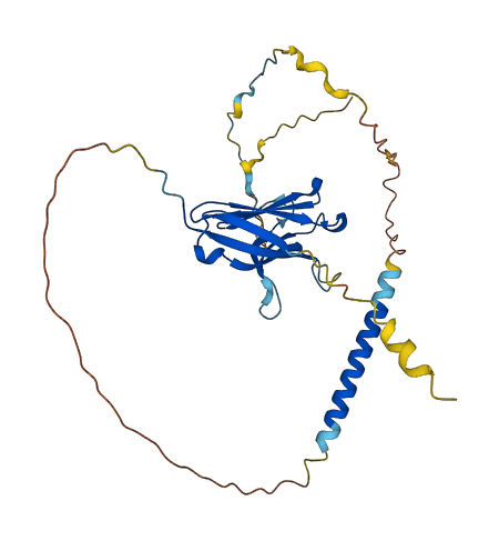 CD300A 3D structure