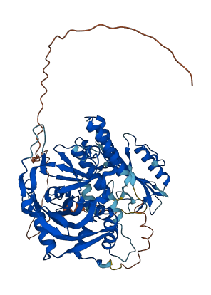 PARP2 3D structure