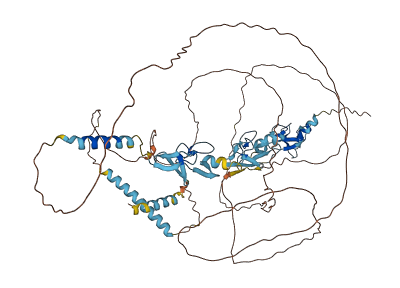 LIMD1 3D structure