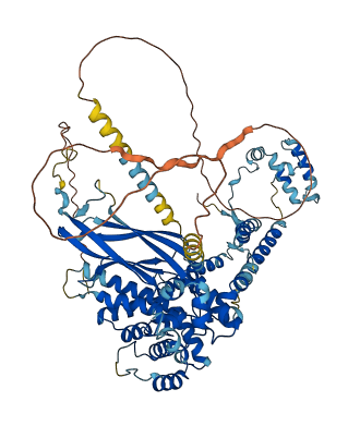 SEC63 3D structure