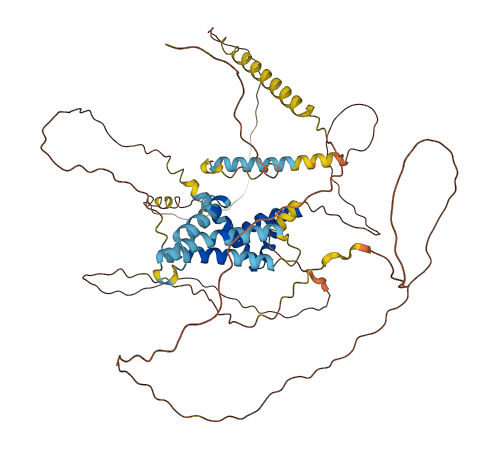 HMGXB4 3D structure