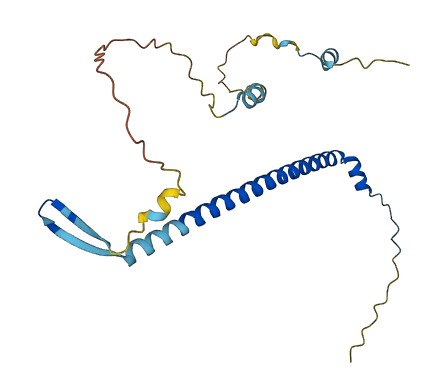 NOL12 3D structure