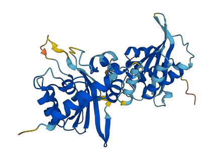 APOBEC3B 3D structure