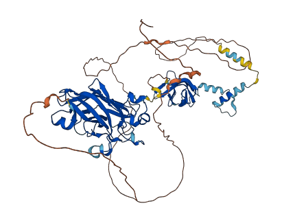 EBF1 3D structure