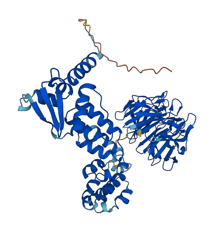 KLHL3 3D structure